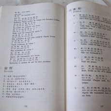 Tradução em chinês