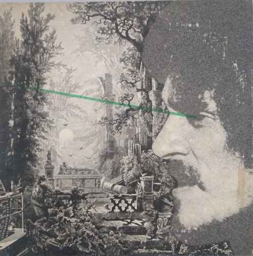 LP Zé Ramalho - A Força Verde (1982) (Vinil usado)