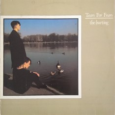 LP Tears For Fears – The Hurting (1983) (Vinil usado) 