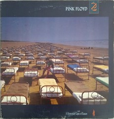 LP Pink Floyd - A Momentary Lapse of Reason (1987) (Vinil usado)
