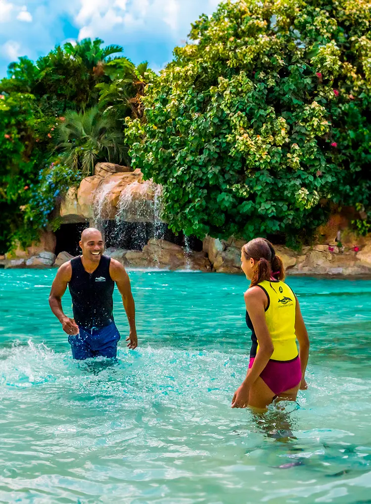 Ingresso 1 Dia Discovery Cove All Inclusive com Nado com Golfinhos 2025 – Refeições e Bebidas Ilimitadas com Seleção de Cervejas e Vinhos (Para Maiores de 21 Anos) - Único Parque com Experiência de Resort 5 Estrelas – Mais Informações, Consulte Detalhes do Item – ADULTO ou CRIANÇA (a partir de 6 anos) – Data de Utilização 01/10/2025