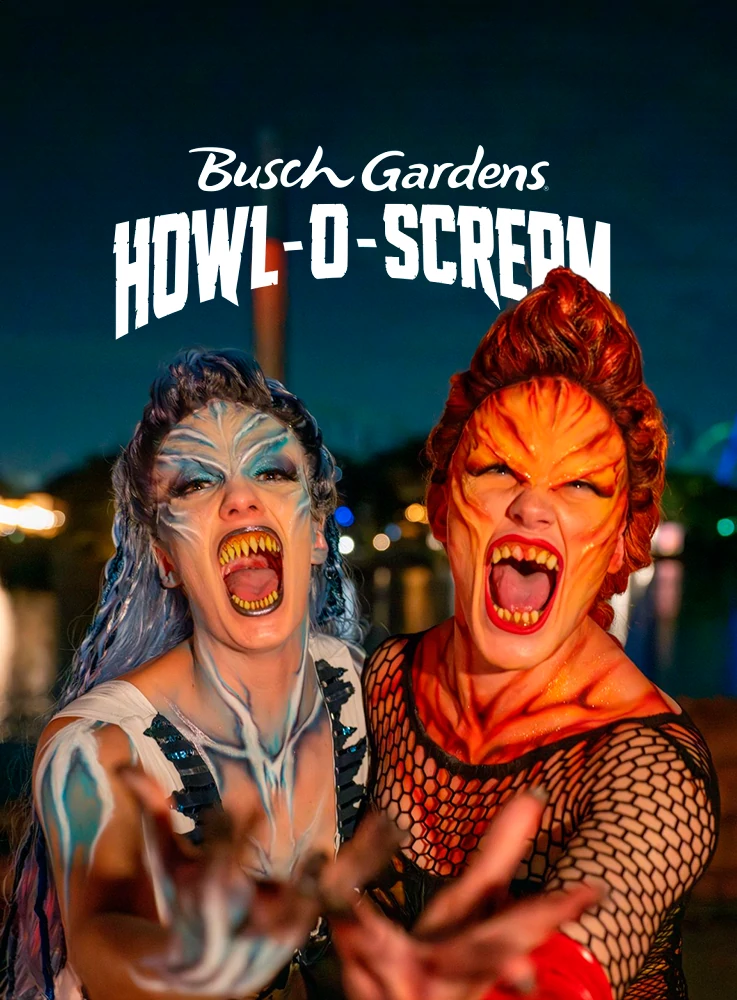 Ingresso 1 Noite Halloween Busch Garden Howl-O-Scream – Evento Especial Temático de Halloween - Acesso ao Howl-O-Scream à Noite (após às 18h)  - * RECEBA HOJE * SEM FALTA * - Grátis Cupom para Resgate de 1 Chip Internacional de 2.5GB no site do Parceiro da Promoção (Limite 1 por Pedido) - Mais Informações, Consulte Detalhes do Item – ADULTO (a partir de 18 anos) - 30/10/2024