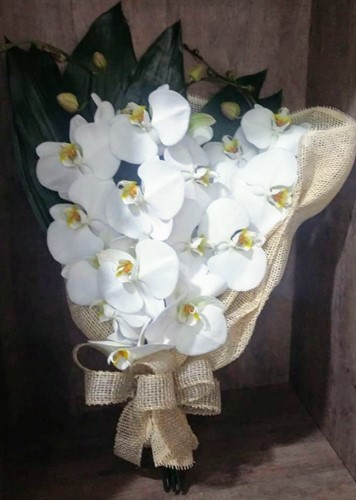Bouquet de Orquídea Phalaenopsis 