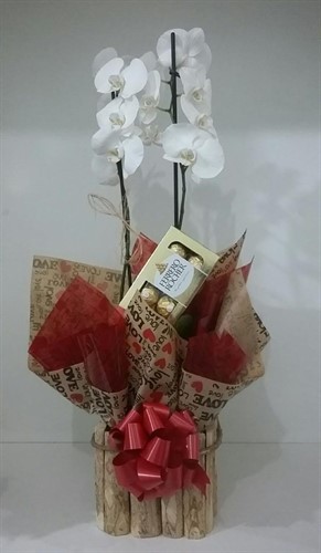 Orquídea Phalaenopsis com Ferrero Rocher 8 unidades 