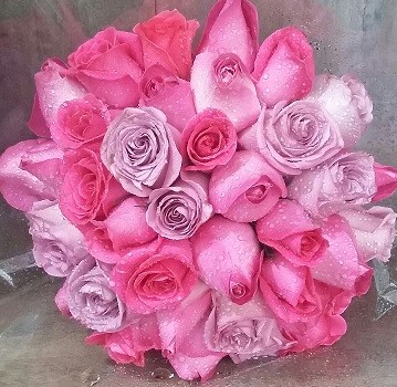 Bouquet de noiva rosas - Rosa - Comprar - Minas Gerais