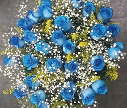 Bouquet 20 rosas azuis 