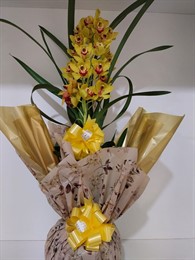 Orquídea Cymbidium Amarela 